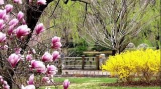 PROGNOZA METEO pentru următoarele două săptămâni. Cum va fi VREMEA până în 2 aprilie