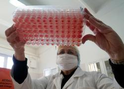 O nouă AMENINŢARE în spitale! Cercetătorii avertizează asupra unei ciuperci rezistente la antibiotic, care poate ucide