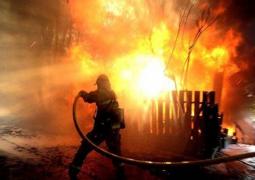 Un cioban a ARS DE VIU în stâna pe care o păzea