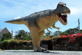 Cercetătorii au descoperit AMPRENTE a peste 20 de specii de DINOZAURI, vechi de aproape 140 de milioane de ani