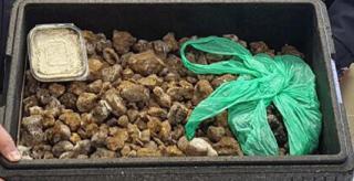 Zeci de kilograme de TRUFE ROMÂNEŞTI, confiscate în Italia. La cine ar fi trebuit să ajungă "diamantele negre" de zeci de mii de euro