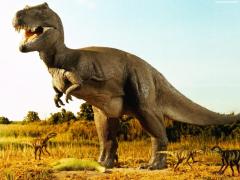 DESCOPERIREA care schimbă totul: Temutul prădător T-Rex era de fapt "un mare SENSIBIL"