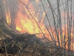 Zeci de hectare DISTRUSE DE FOC, la Suceava. Pompierii s-au luptat cu opt incendii de vegetaţie, doar în ultimele 24 de ore (VIDEO)