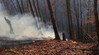 FLĂCĂRI în Apuseni, pe o suprafaţă de 10 hectare! Zeci de pompieri, voluntari şi un ELICOPTER luptă pentru stingerea incendiului