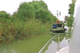 Situaţie ALARMANTĂ în Delta Dunării: "Braconajul este dublu faţă de cât se pescuieşte legal"