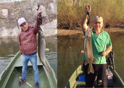 Şeful Deltei, supărat că Dragnea şi Grindeanu n-au pupat ştiucile: "Ar fi putut sa o pupe si sa ii dea drumul"