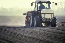 NIVEL RECORD la stocurile de cereale. Fermierii îşi ţin recoltele pe câmp, în baze militare sau parcări