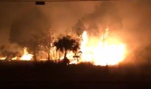 STARE DE URGENŢĂ în Florida! Mii de hectare şi ZECI DE CASE au ars în câteva zile. Pompierii se luptă cu peste 100 de incendii (VIDEO)