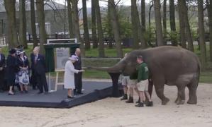 Imagini INEDITE! Regina Elisabeta a Marii Britanii a hrănit un elefant cu banane (VIDEO)