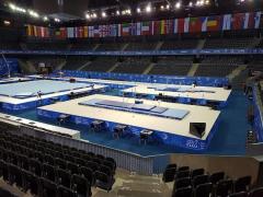 ACCIDENT GRAV la Campionatele Europene de la Cluj. Gimnastul Laurenţiu Nistor s-a lovit în timpul unui exerciţiu