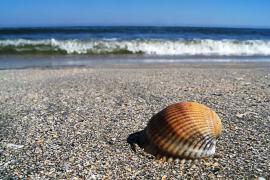 Cum va fi vremea de 1 mai! Vezi PROGNOZA METEO pentru următoarele două săptămâni