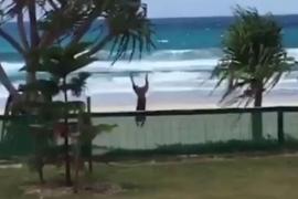 Exces de zel: Un câine a mers... mult prea departe, încercând să prindă mingea aruncată de stăpân VIDEO