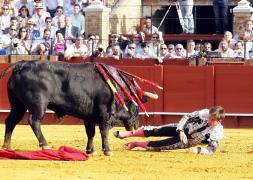 OROARE în Spania: Un toreador de 23 de ani a fost STRĂPUNS de mai multe ori de un taur (VIDEO) ATENŢIE: imagini cu impact emoţional