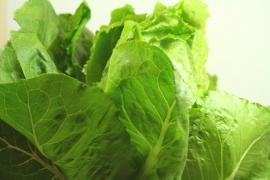 Trucul simplu prin care salata verde poate fi păstrată proaspătă mai multă vreme. Ai nevoie doar de un accesoriu banal din bucătărie