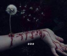 POLEMICĂ în jurul morţii Denisei, adolescenta care s-a sinucis jucând Balena Albastră: "Băi, omule, cum poți scrie asemenea tâmpenii?!"