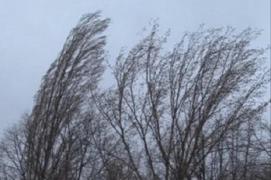 ALERTĂ METEO! Meteorologii au emis COD GALBEN DE VÂNT pentru următoarele ore. Ce zone sunt afectate