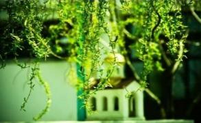 Zi IMPORTANTĂ pentru creştini: Ce nu ai voie să faci în Sâmbăta Floriilor