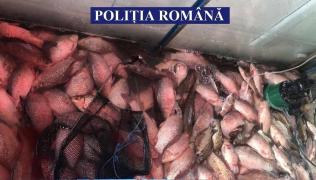 Tone de peşte, CONFISCATE de poliţişti înainte de Duminica Floriilor