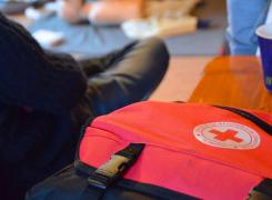 Percheziţii la Crucea Roşie Braşov. Fosta directoare Luana Minea, suspectată de uz de fals şi delapidare