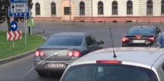 Scenă adorabilă, filmată la Oradea! Un poliţist a OPRIT TRAFICUL pentru a da prioritate unei coloane de... RĂŢUŞTE!