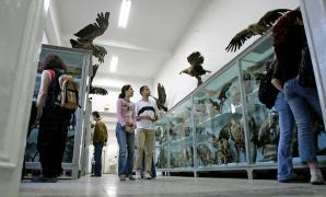 Record la Noaptea Muzeelor 2017. Sute de oameni au aşteptat mai mult de o oră ca să viziteze Muzeul Antipa