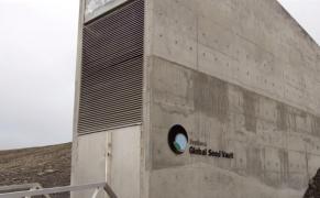 Construit pentru Apocalipsă? O banală inundație a penetrat ”Arca lui Noe vegetală”, buncărul care găzduiește rezerva mondială de semințe