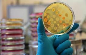 VIRUSUL BREXIT face ravagii în Marea Britanie: Autorităţile sunt în ALERTĂ! Mii de persoane sunt infectate