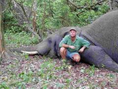 SOARTĂ CRUDĂ! Un vânător împătimit a murit STRIVIT de un elefant, care fusese împuşcat după ce îl ridicase pe bărbat cu trompa (FOTO)