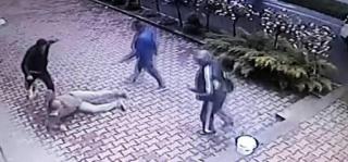 ATAC BRUTAL în Lugoj! Tânăr de 23 de ani, BĂTUT CU BESTIALITATE de trei romi, în plină stradă. I-au cărat PUMNI şi PICIOARE, până l-au lăsat inconştient pe caldarâm