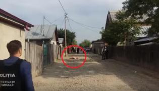 Femeie din Mizil, MÂNCATĂ DE CÂINI. Strada a fost înroșită de sângele femeii, victima fiind SFÂRTECATĂ de haita flămândă (VIDEO)