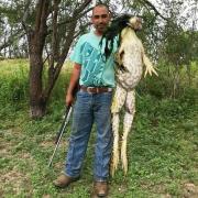 BROASCA GIGANT care măsoară cât un CÂINE! Un bărbat SE LAUDĂ pe reţelele de socializare cu broasca MUTANT! Sunt reale imaginile?