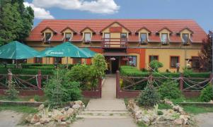 ANAF scoate CASE la licitație, cu prețuri RIDICOLE! 10 camere, piscină, restaurant și TEREN de aproape 2.000 de mp, CE CHILIPIR!