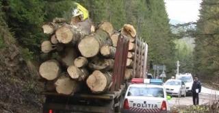Amendă COLOSALĂ pentru un șofer de TIR din Bihor, prins că transporta LEMN FURAT