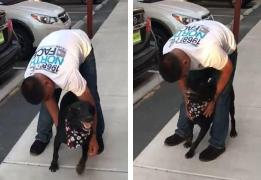 SCENE EMOȚIONANTE: un câine orb își reîntâlnește stăpânul după 6 ANI de despărțire. Ce bucurie când îl recunoaște!