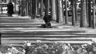 VIDEO ŞOCANT! Atacatorul de pe Champs-Élysées este DEZBRĂCAT la piele în timp ce ZACE INERT pe caldarâm. Un poliţist se uită şi în CHILOŢI căutând o bombă