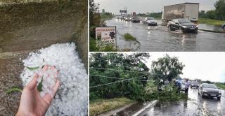 Ploile torenţiale şi grindina au făcut RAVAGII în ţară. PRĂPĂD în Giurgiu: COPACI RUPŢI, drumuri inundate, acoperişuri smulse de vânt (VIDEO)