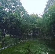 FENOMENELE EXTREME continuă în Rusia! După ce au murit 16 oameni în urma FURTUNII devastatoare, o nouă INTEMPERIE loveşte Moscova!