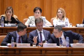 RĂSTURNARE de situaţie! Anunţul făcut de Olguţa Vasilescu privind miniştrii demisionari din Guvernul Grindeanu