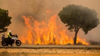 PESTE 2.000 de persoane EVACUATE din calea FLĂCĂRILOR URIAŞE din zona Parcului natural Donana, din Spania