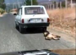 IMAGINI greu de urmărit! Un câine ciobănesc german este legat cu o FUNIE de o maşină şi târât pur şi simplu pe drum (VIDEO)