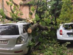 Prăpăd la Timiş! O furtună violentă a distrus 125 de case, o primărie şi o şcoală. Copacii au fost smulşi şi au căzut peste maşini (FOTO)