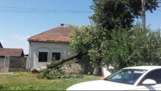 Prăpăd în vestul ţării! Zeci de localităţi au fost rămas fără curent electric ore în şir, după o furtună