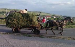 Accident stupid la Botoșani. O tânără A MURIT, după ce a căzut în cap din căruță