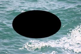 BREAKING NEWS! Corpul neînsufleţit al unui bărbat a fost scos din lacul Floreasca