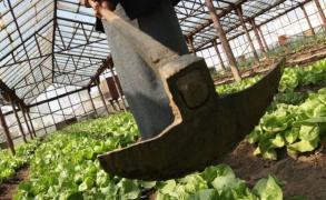 Crimă înfiorătoare, în Vaslui: o femeie şi-a căsăpit bărbatul cu 15 LOVITURI de sapă. A încercat să ţină secretă fapta sângeroasă