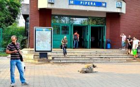 Metrorex a anunţat că se închide staţia de metrou PIPERA