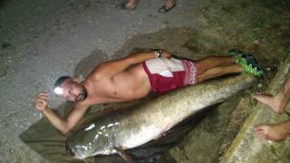 CAPTURĂ IMPRESIONANTĂ în apele Jiului! Doi gorjeni au pescuit un SOMN URIAŞ, de aproape DOI METRI LUNGIME şi 93 de kilograme (GALERIE FOTO)