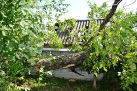 Ploile fac ravagii în Neamţ! O familie s-a rătăcit pe munte, mai multe case au fost inundate, iar vântul a doborât copaci şi cabluri electrice