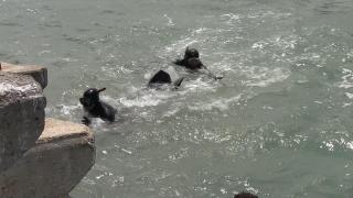 Marea a mai făcut o victimă. Un bărbat a murit înecat, la Olimp. Trupul său a fost recuperat de scafandri, de sub stabilopozi