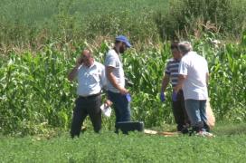 CRIMĂ PE CÂMP, în Iaşi. Caii s-au speriat şi s-au oprit îngroziţi în faţa unui cadavru plin de sânge şi de praf